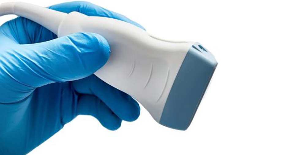 Gloved hand holding a medical ultrasound transducer (probe) against a white background, ready for scanning.