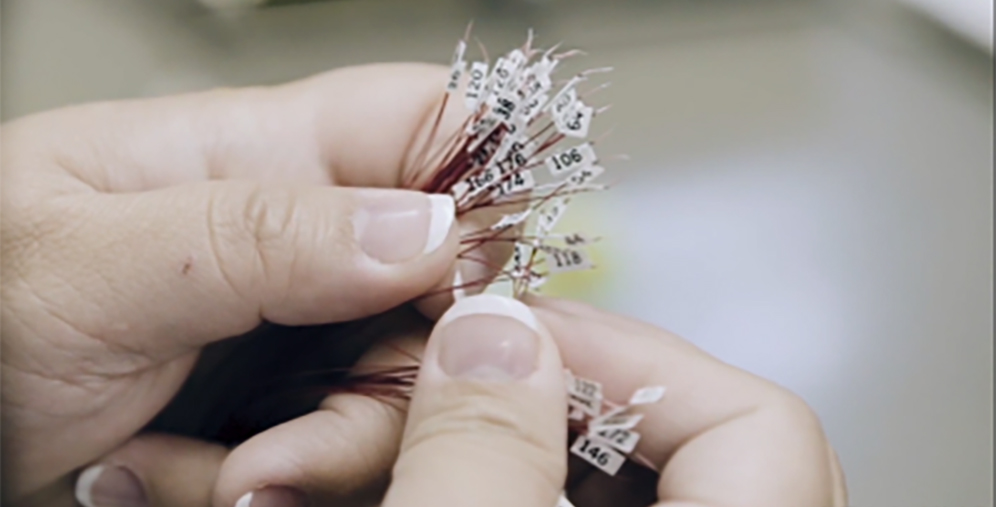 Close-up of hands sorting thin wires with small numbered labels attached.