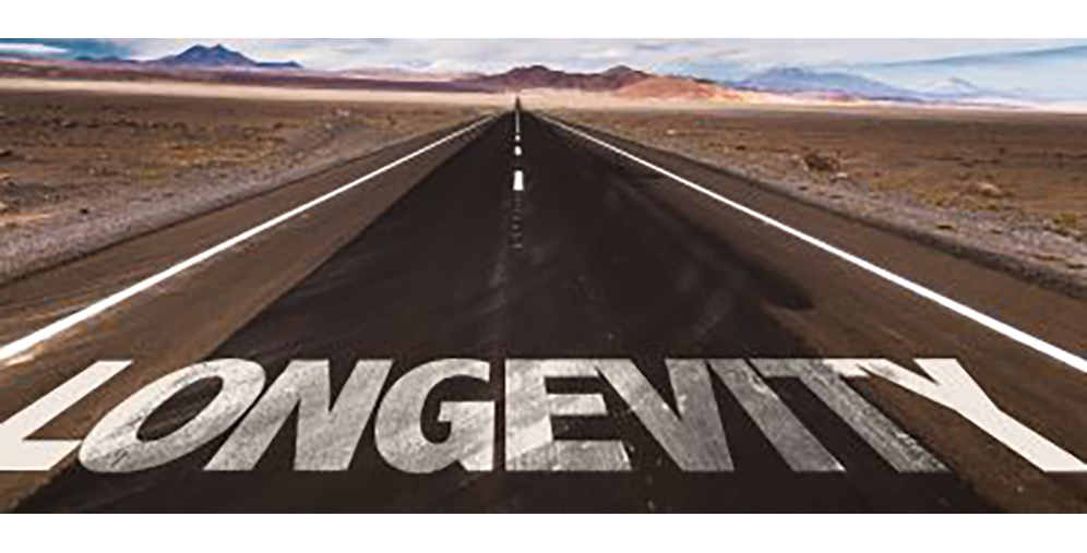 Long, straight desert highway stretching to the horizon with the word LONGEVITY painted in large white letters across the road.