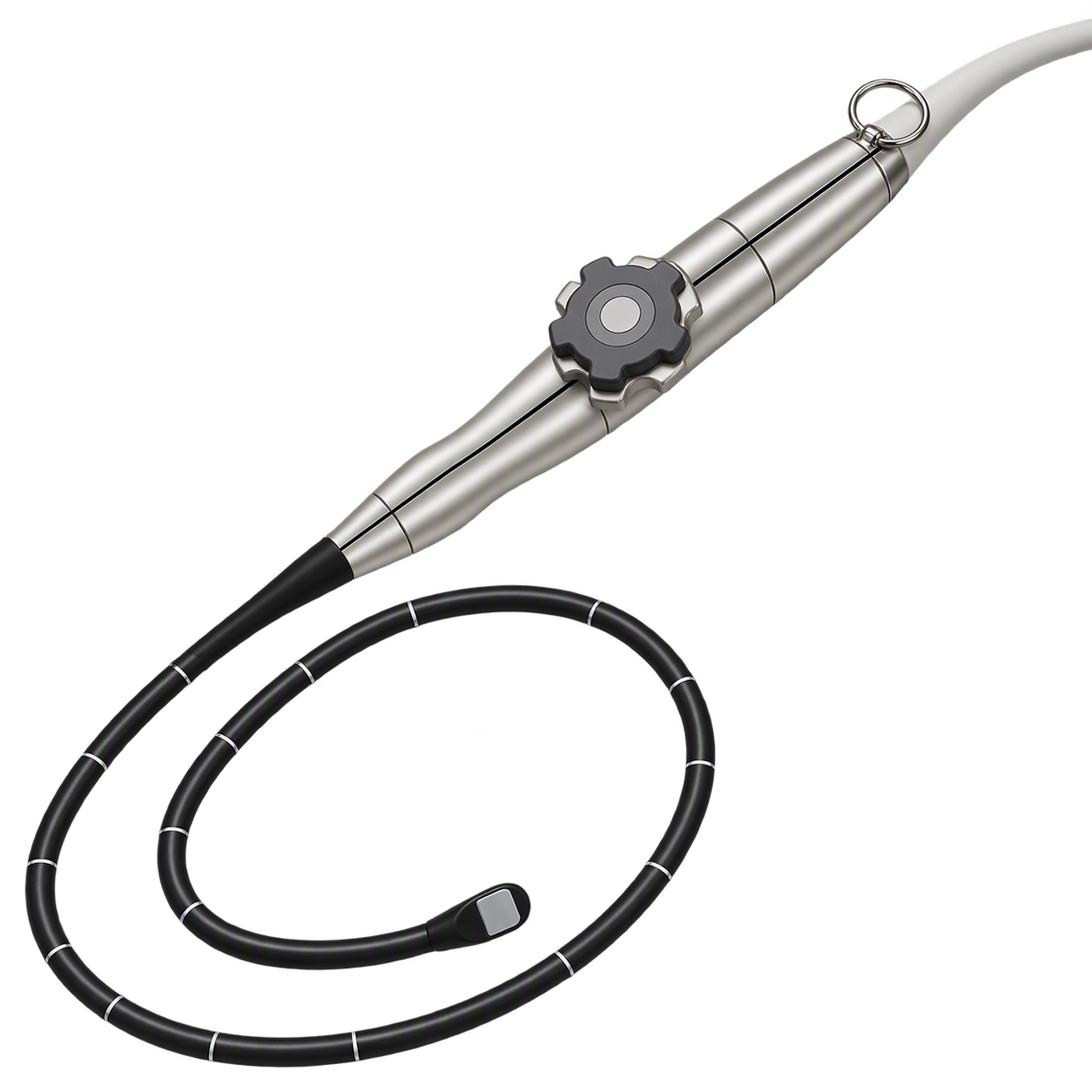 Image of a TEE Probe